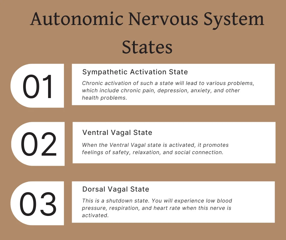 An infographic on the top three states of the autonomic nervous system